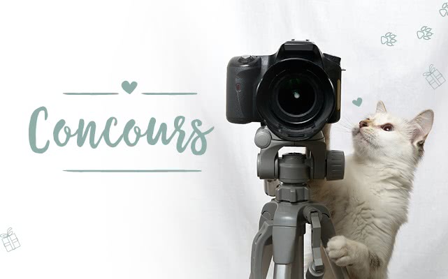 Votre animal de compagnie est une star ?